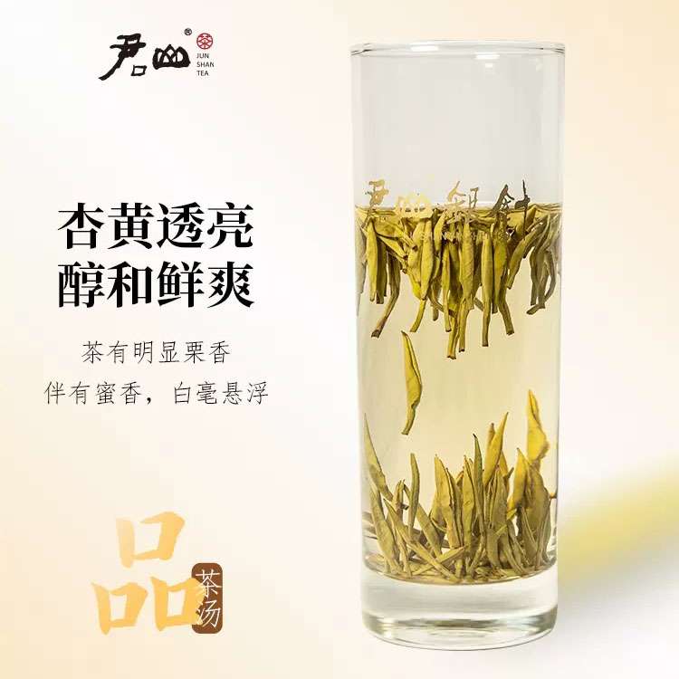 湖南特產岳陽君山島茶葉君山銀針555明前新茶黃茶禮盒裝100g